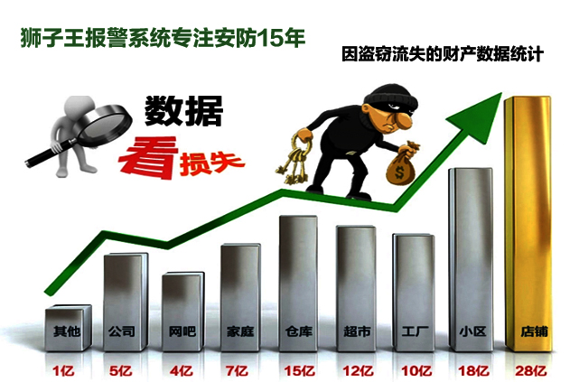 因盗窃而流失财产的数据统计表