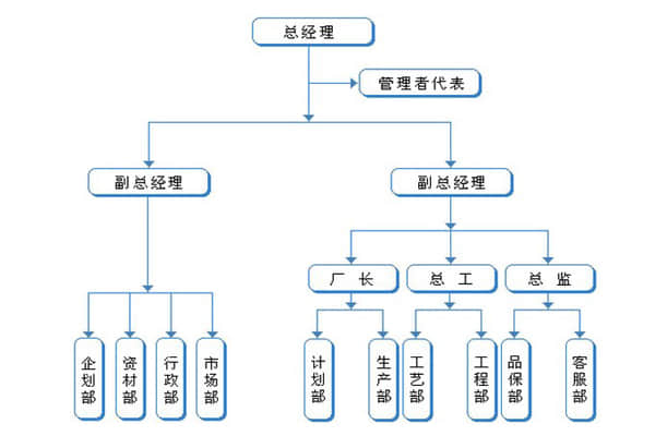 狮子王公司内部组织结构图