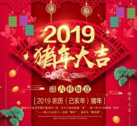 狮子王视频联网报警2019春节放假安排